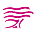McGuff Pharmaceuticals, Inc. logo