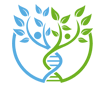 Optimal Balance Center logo
