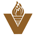 Victory Men’s Health logo